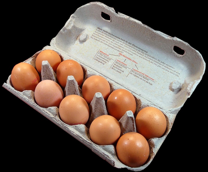 Egg Carton Math Games